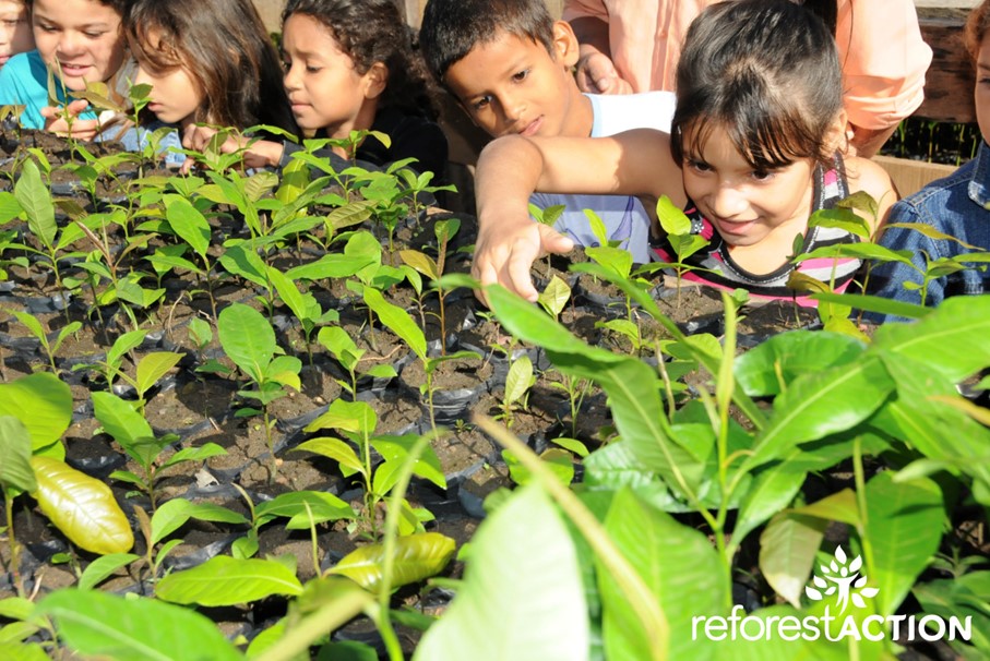 L’Arbre Vert poursuit son action avec Reforest’Action.