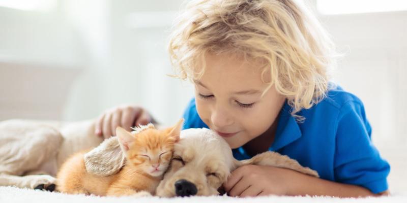 Peut-on laver son chien avec du shampooing  ?